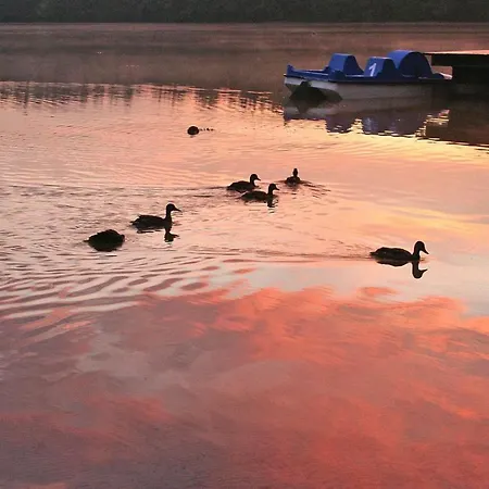 Casa vacanze A Wonderful With Access Bieszkowice