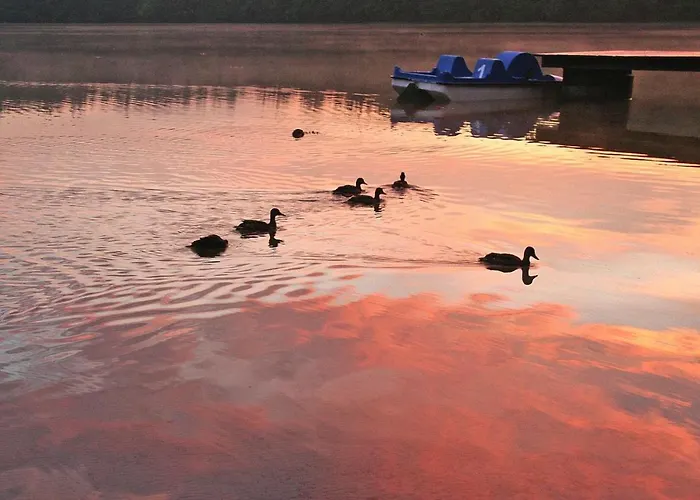 Feriehus A Wonderful With Access Bieszkowice